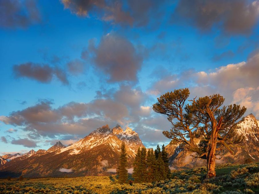 My Park, My Story: Lee & Ed Riddell - Grand Teton National Park ...