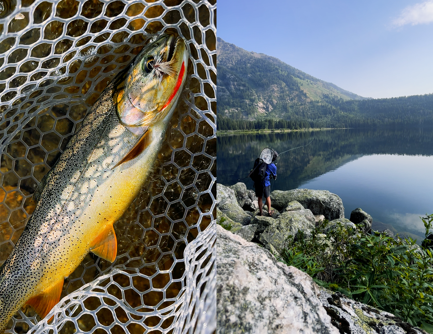 Phelps Lake Cutthroat