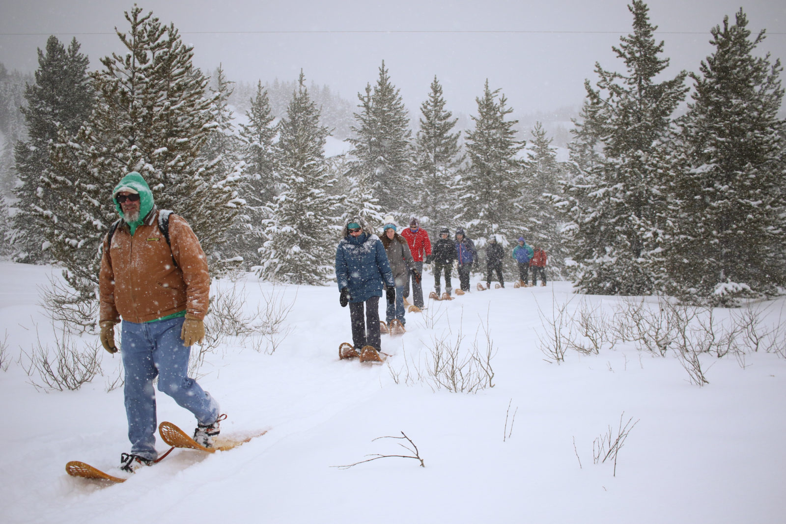 snowshoe hike